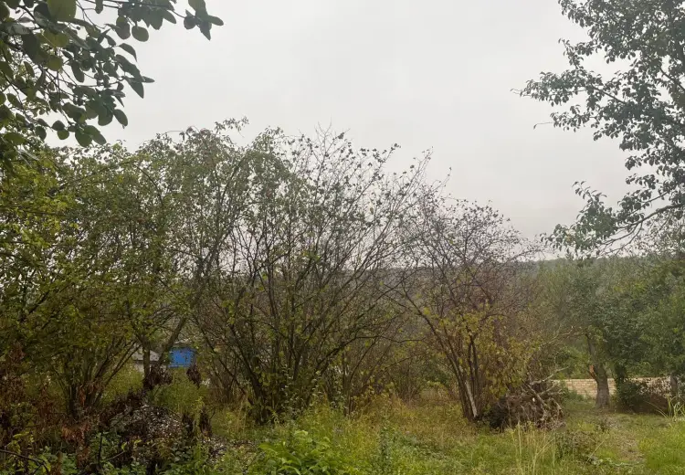 16.5 sot Torpaq Satılır, Quba