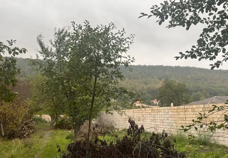 16.5 sot Torpaq Satılır, Quba