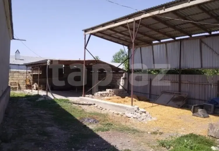 5 otaqlı mənzil , Xaçmaz