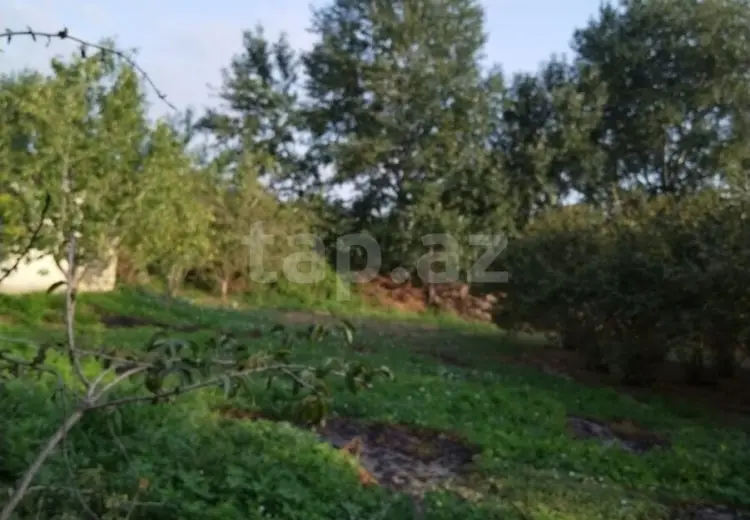 5 otaqlı mənzil , Xaçmaz