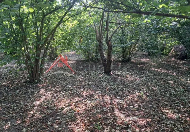 52 sot Torpaq Satılır, Xaçmaz