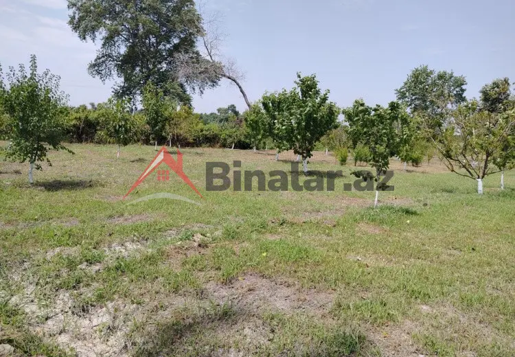 22 sot Torpaq Satılır, Xaçmaz