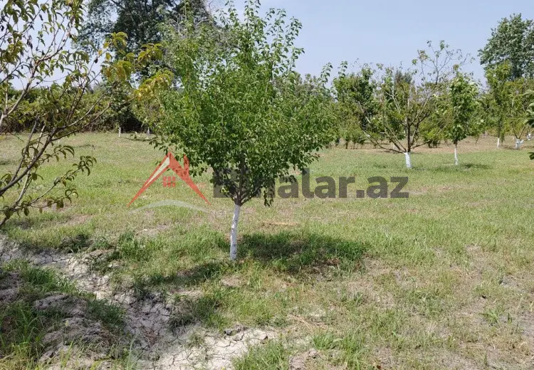 22 sot Torpaq Satılır, Xaçmaz