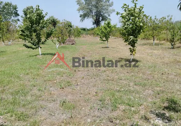 22 sot Torpaq Satılır, Xaçmaz