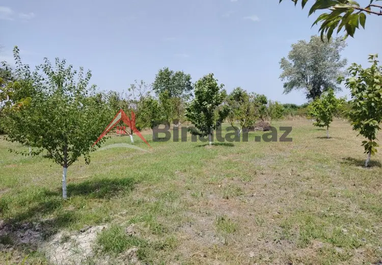 22 sot Torpaq Satılır, Xaçmaz