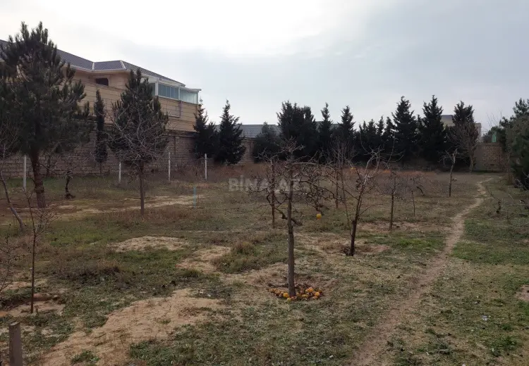12.5 sot Torpaq Satılır, Bilgəh qəs., Sabunçu, Bakı