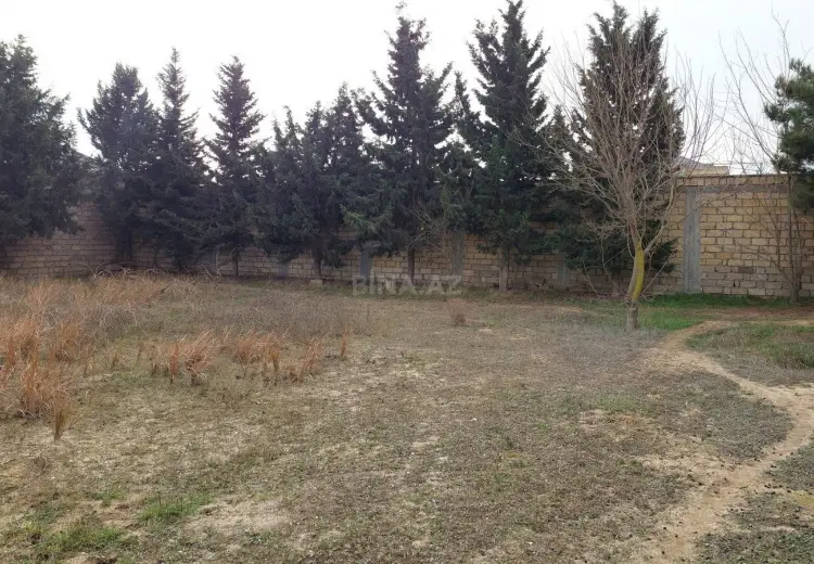 12.5 sot Torpaq Satılır, Bilgəh qəs., Sabunçu, Bakı