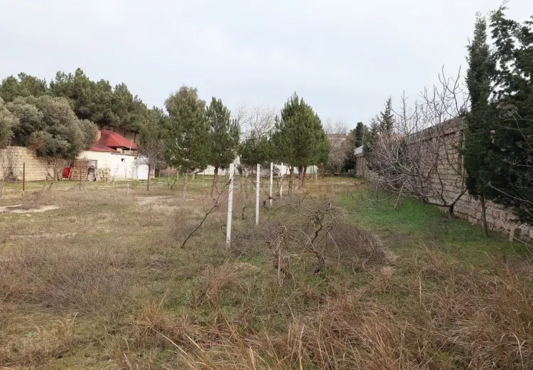 12.5 sot Torpaq Satılır, Bilgəh qəs., Sabunçu, Bakı