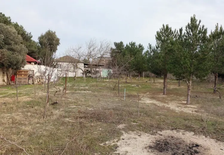 12.5 sot Torpaq Satılır, Bilgəh qəs., Sabunçu, Bakı