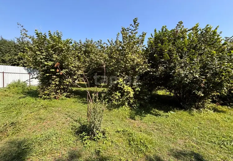 0 m² Obyekt / Ofis , Qəbələ
