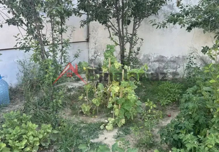 7 otaqlı mənzil Satılır, Zərdab