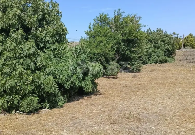 0 m² Obyekt / Ofis , Bakı