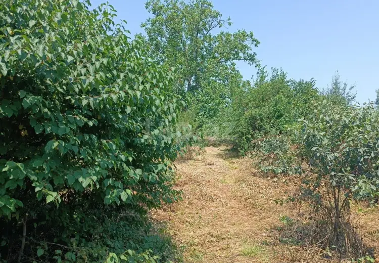 4 otaqlı mənzil , Quba