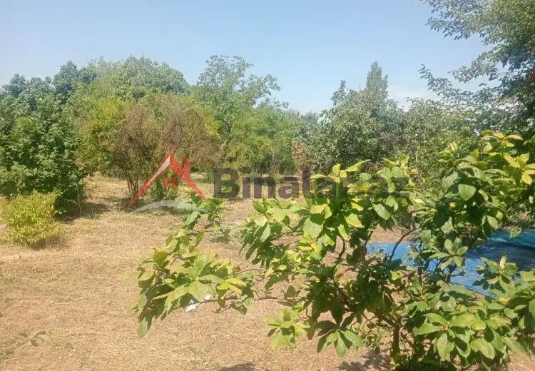 10 sot Torpaq Satılır, Bərdə