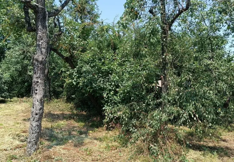 4 otaqlı mənzil Satılır, Quba
