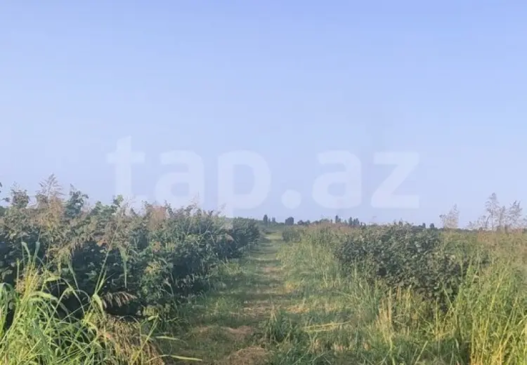 0 m² Obyekt / Ofis , Xudat