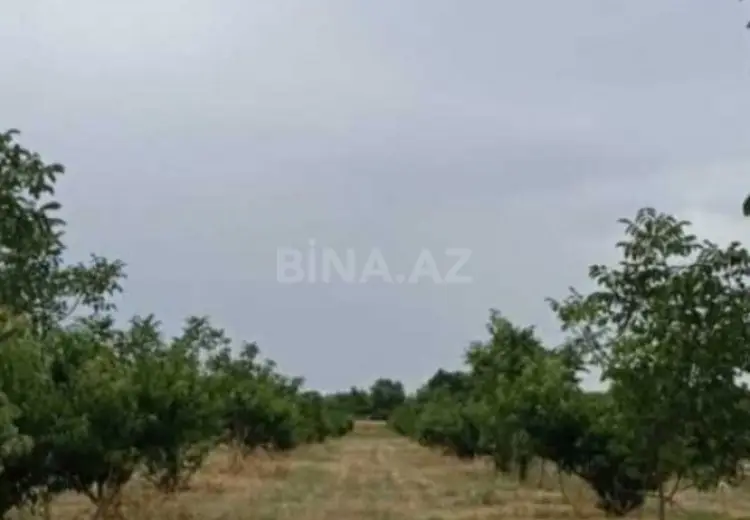 127 sot Torpaq Satılır, Xaçmaz