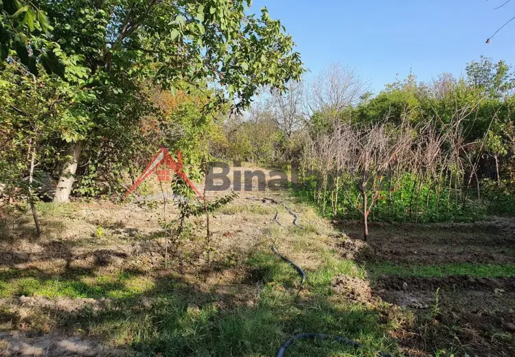 6 sot Torpaq Satılır, Mingəçevir