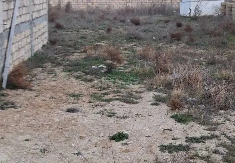 7 otaqlı mənzil Satılır, Nardaran qəs., Sabunçu, Bakı