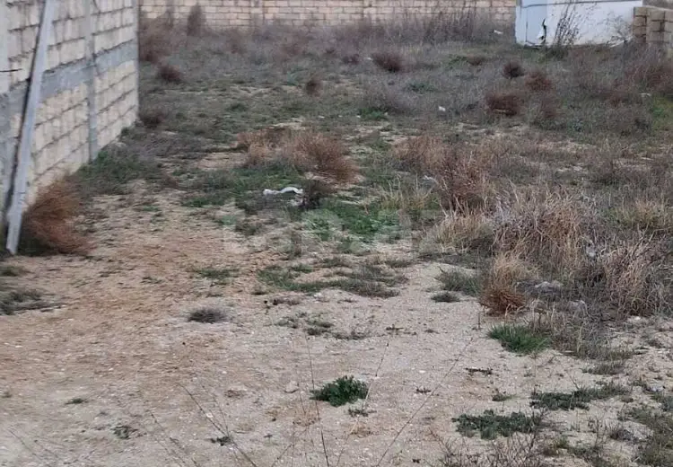 7 otaqlı mənzil , Bakı