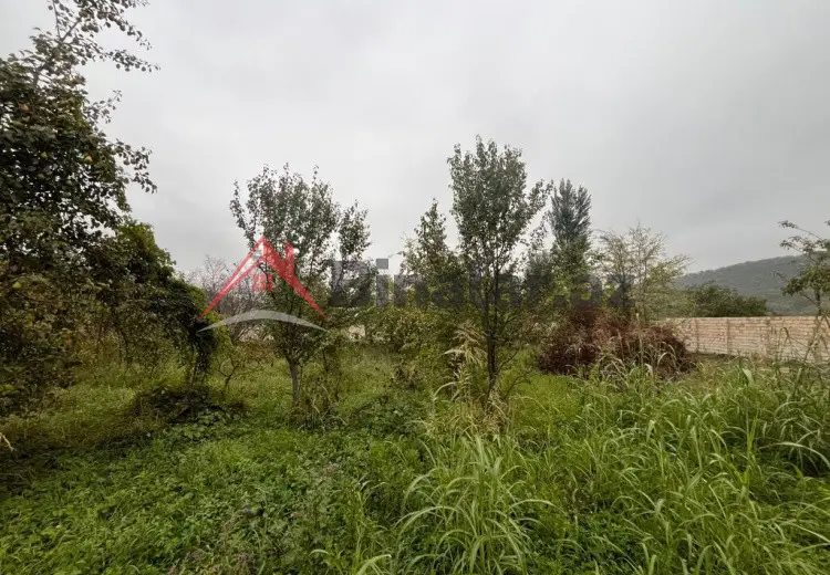 16 sot Torpaq Satılır, Qusar