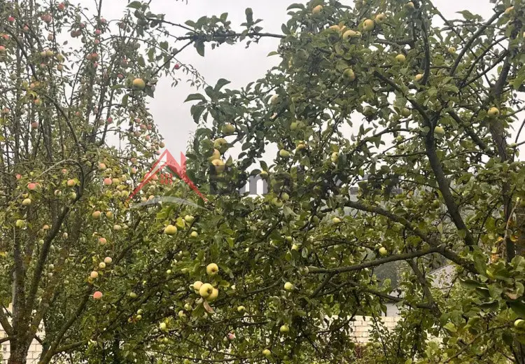 16 sot Torpaq Satılır, Qusar