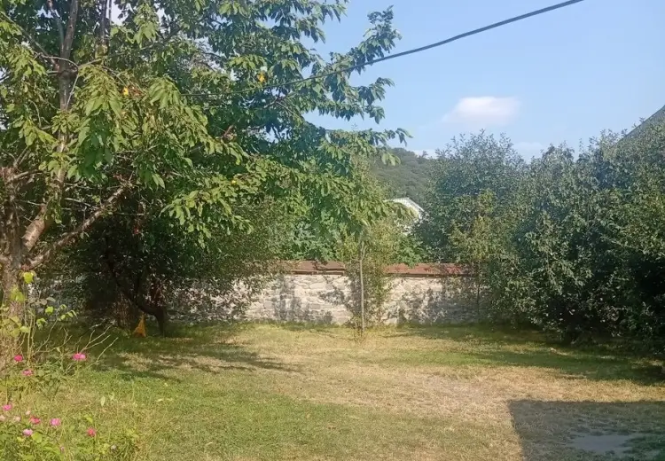 6.6 sot Torpaq Satılır, Qəbələ