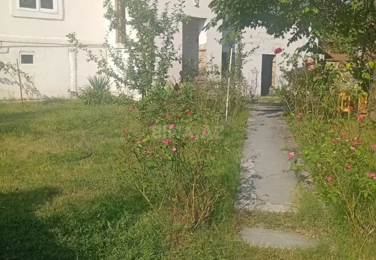 6.6 sot Torpaq Satılır, Qəbələ