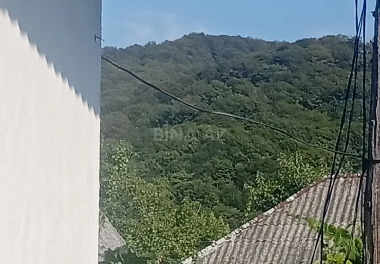 6.6 sot Torpaq Satılır, Qəbələ