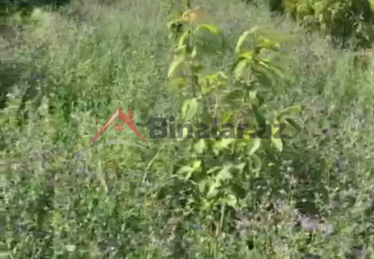 180 sot Torpaq Satılır, Xaçmaz