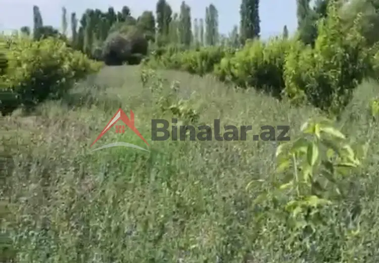 180 sot Torpaq Satılır, Xaçmaz