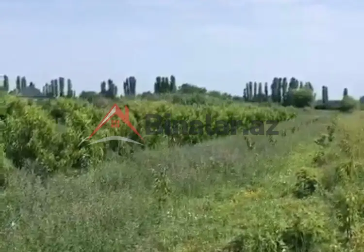 180 sot Torpaq Satılır, Xaçmaz