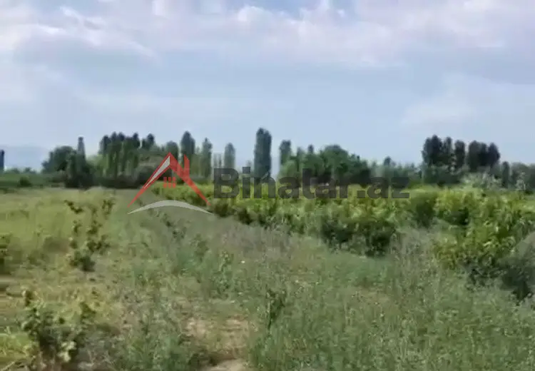 180 sot Torpaq Satılır, Xaçmaz