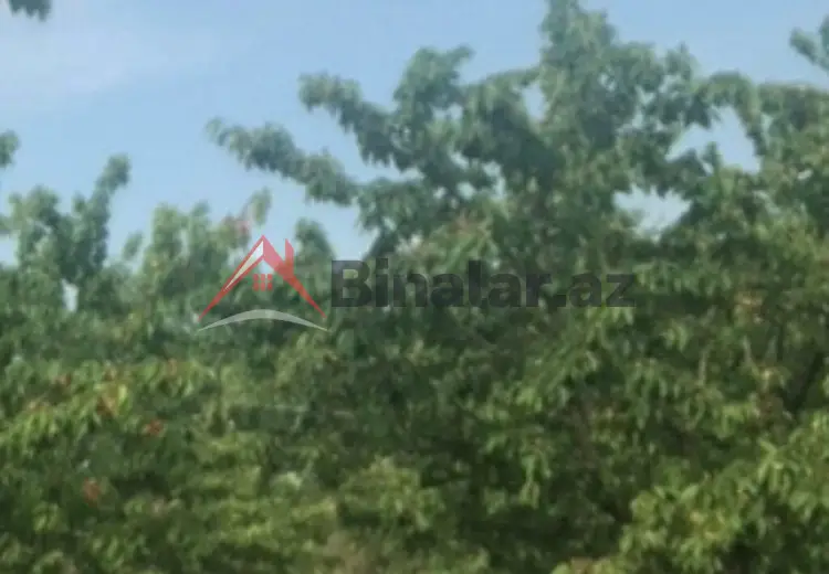 0 sot Torpaq Satılır, Xaçmaz