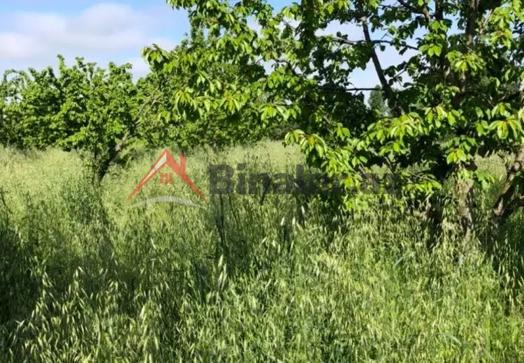 0 sot Torpaq Satılır, Xaçmaz