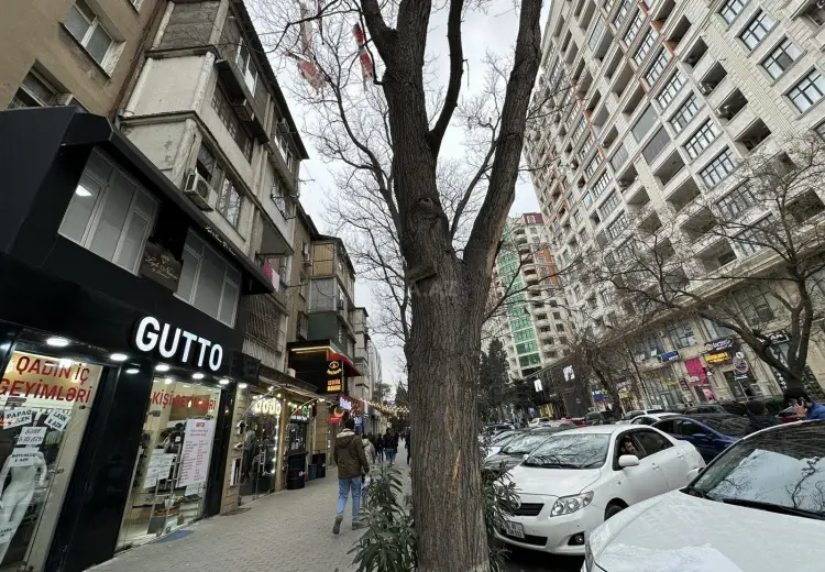 140 m² Obyekt / Ofis Kirayə (aylıq), Nərimanov, Bakı