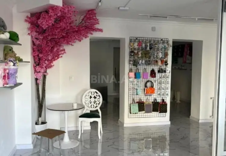 60 m² Obyekt / Ofis Kirayə (aylıq), Nəsimi, Bakı