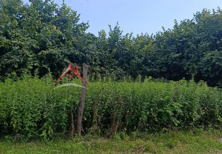 14 sot Torpaq Satılır, Zaqatala