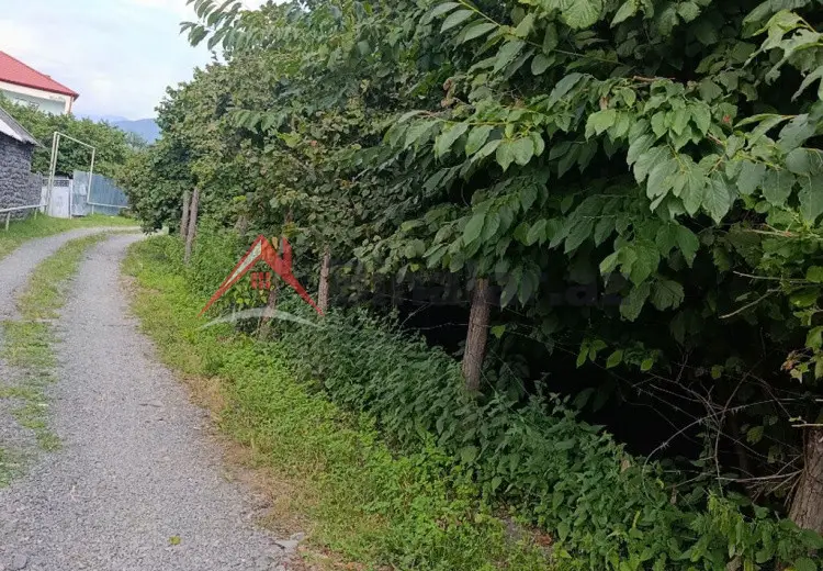 14 sot Torpaq Satılır, Zaqatala