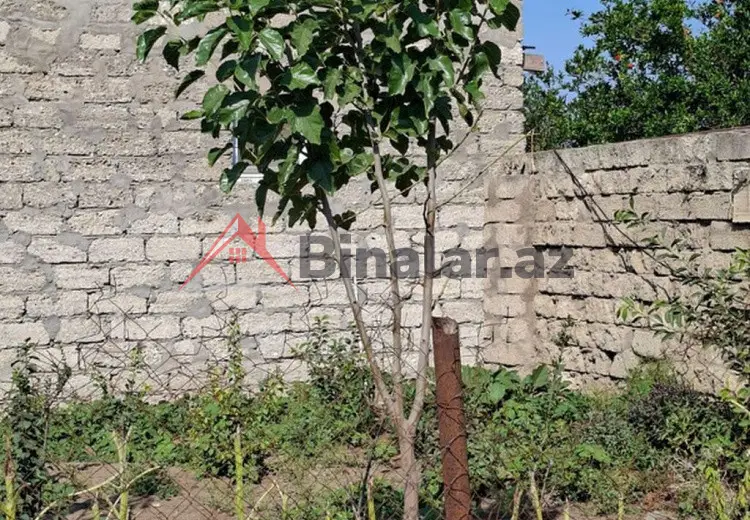 12 sot Torpaq Satılır, İsmayıllı