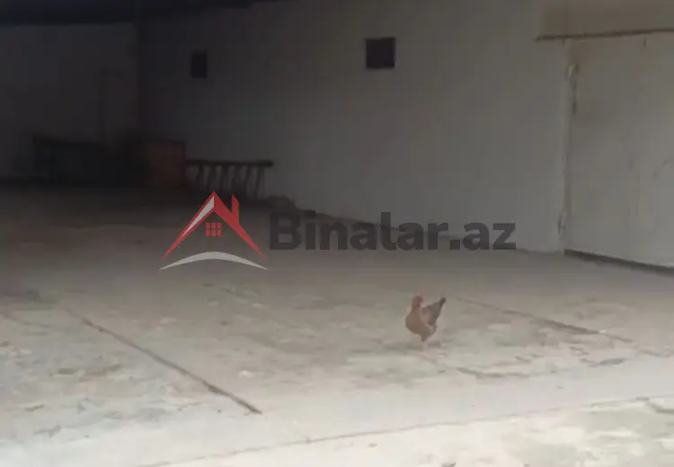 3 sot Torpaq Satılır, Şirvan