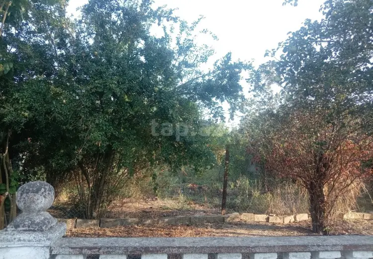 8 otaqlı mənzil , Masallı