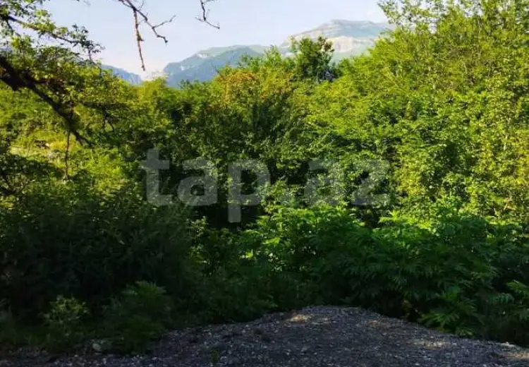 4 otaqlı mənzil , Quba