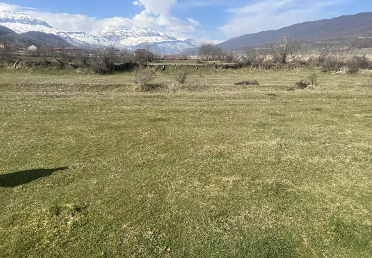 25 sot Torpaq Kirayə (aylıq), Qusar