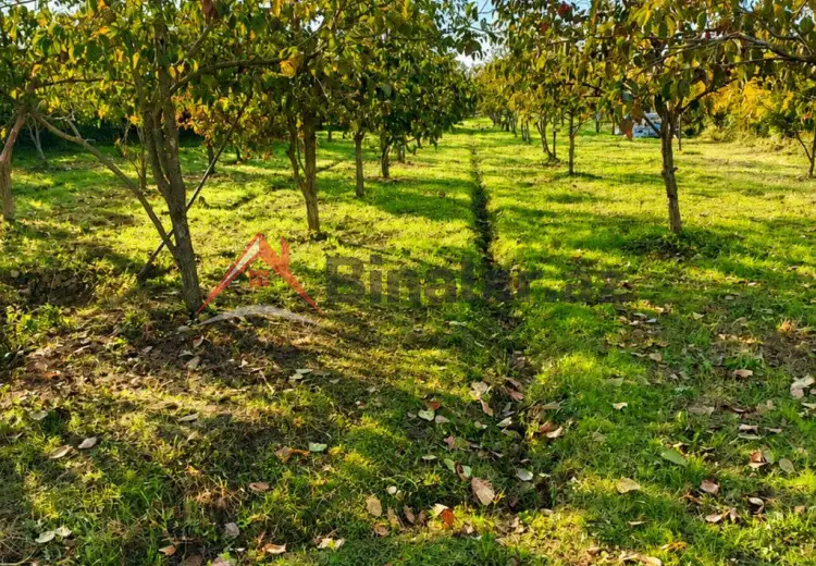 60 sot Torpaq Kirayə (aylıq), Göyçay