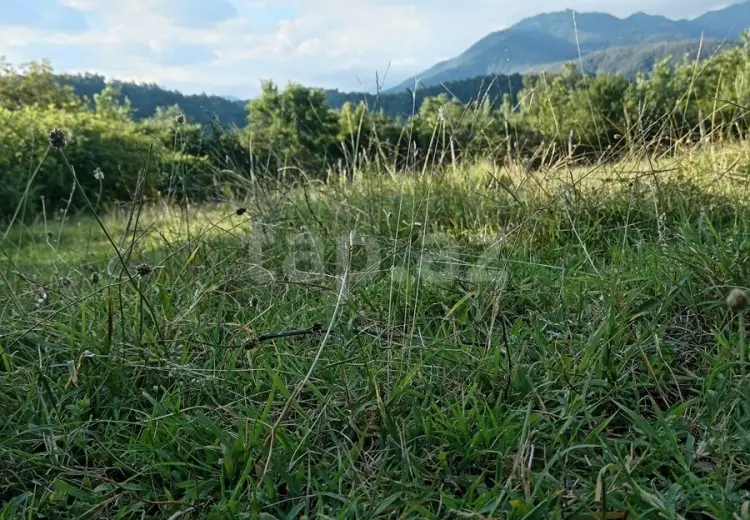 0 m² Obyekt / Ofis , Qəbələ