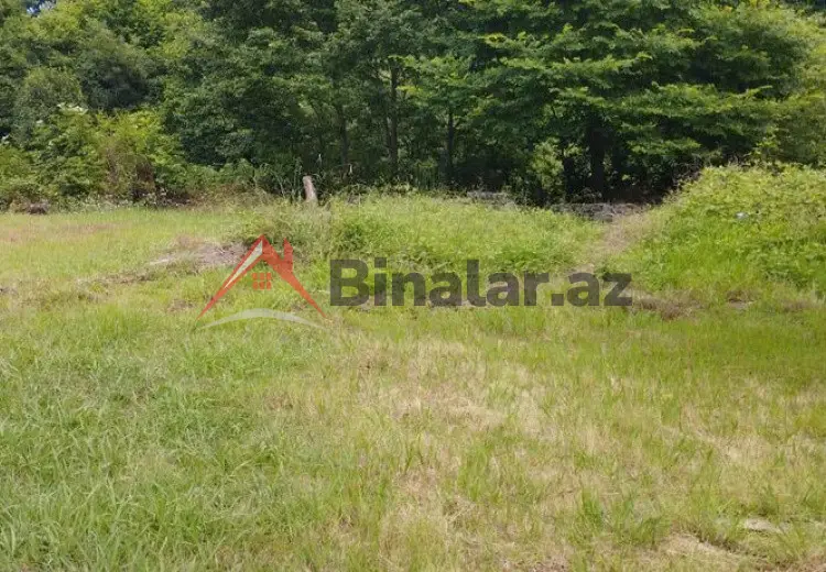 6 sot Torpaq Satılır, Lənkəran