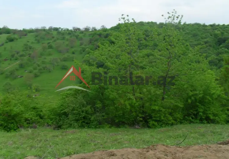 0 sot Torpaq Satılır, Qusar