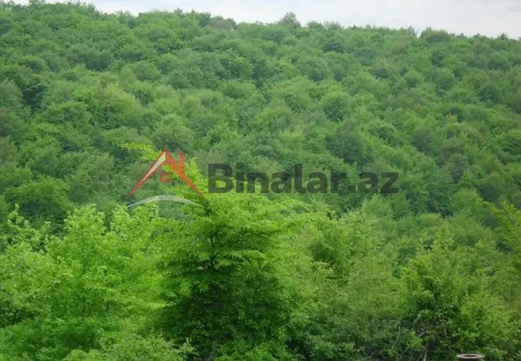 0 sot Torpaq Satılır, Qusar