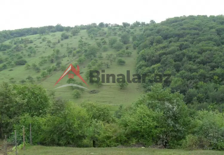 0 sot Torpaq Satılır, Qusar